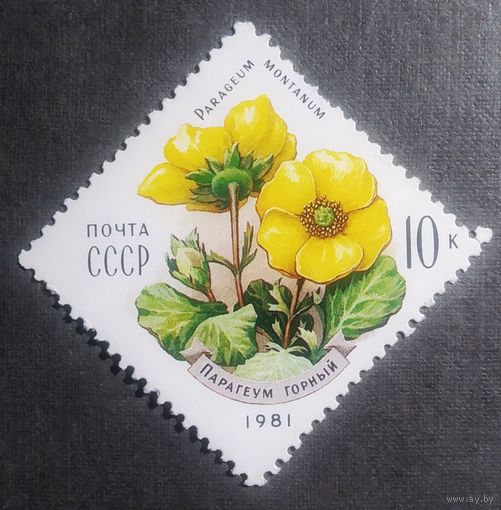 Марка СССР 1981 год Цветы Карпат