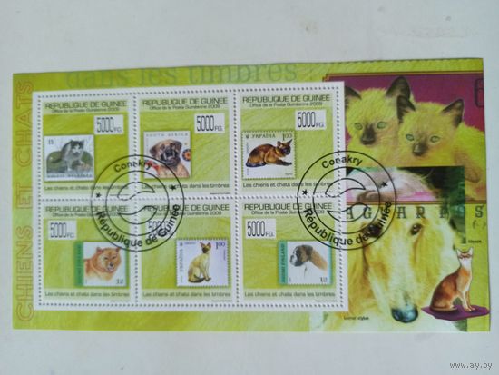 Гвинея. 2009. Коты и собаки на марках