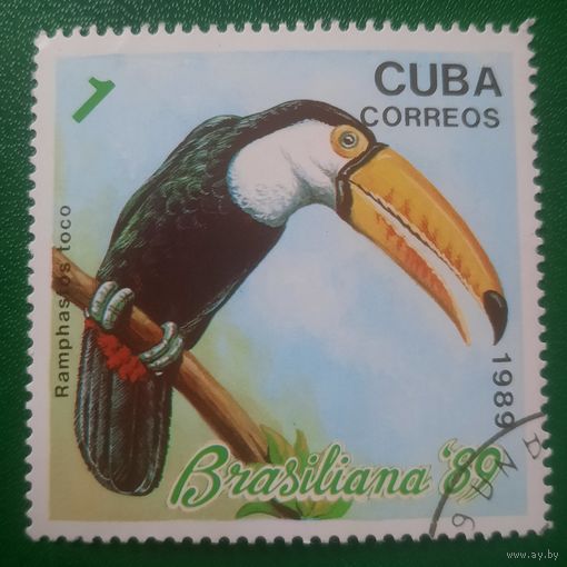 Куба 1989. Ramphastos toco. Марка из серии