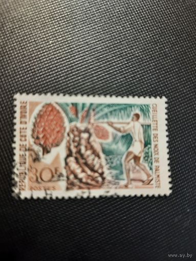 Кот-д"Ивуар. Оливковая пальма. 1967г. гашеная