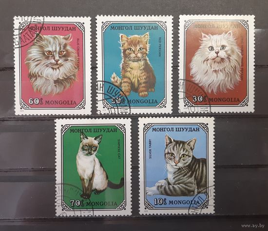 Монголия. 1979 год. Фауна. Кошки (5 марок из серии)