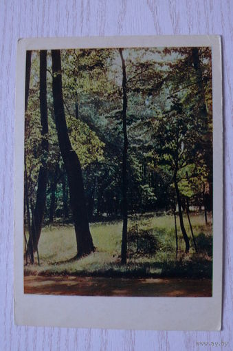 Парк; 1962; чистая.