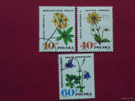 Польша. Флора.