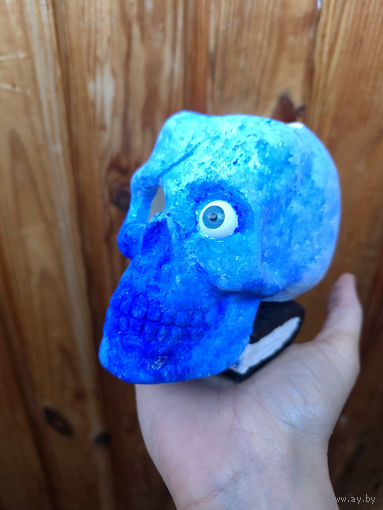 Лот С 1 РУБЛЯ! много лотов! Карандашница черепок на книжке с глазиком синяя