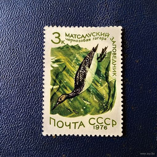 Марка СССР 1976 год Матсалукский заповедник