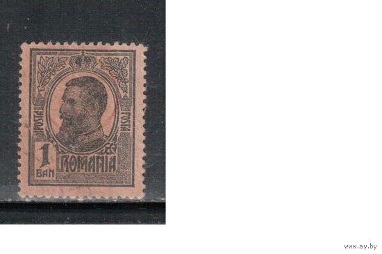 Румыния-1918, (Мих.248)  * (без клея), Стандарт, Король Карл I ,Надп., (1)