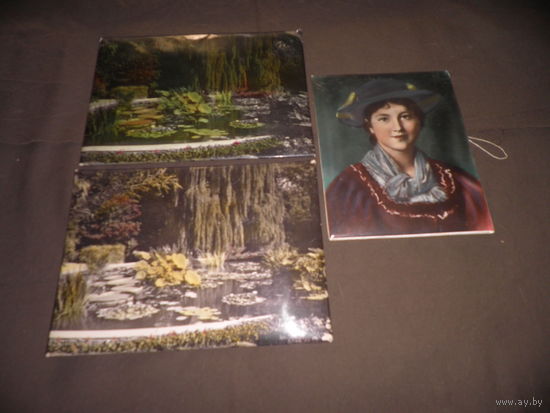 Художественное паспарту с репродукцией Крым.Никитский сад.Виктория Регия тираж 5000 шт.,и портрет.70-е г.С рубля.