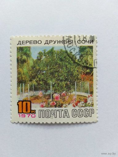 Марки  Дерево дружбы Сочи   Почта СССР    1970  1 шт. -  0,50 руб.