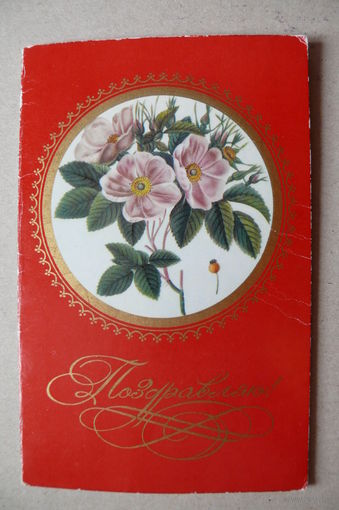 Егорова З., Поздравляю! 1976, двойная, подписана.