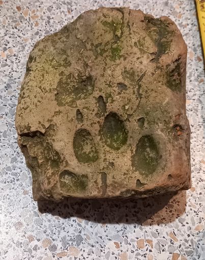 Кирпич с отпечатком лапы.