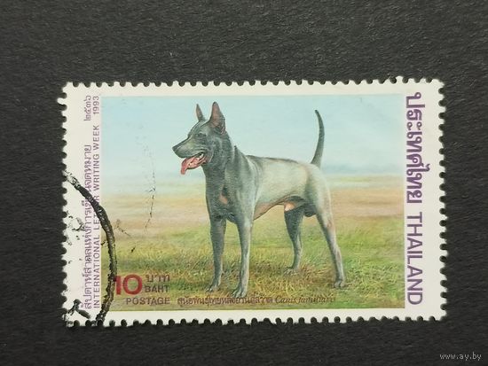 Тайланд 1993. Международная неделя журналистики - Собаки