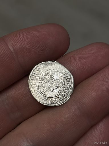 Полугрош 1509?