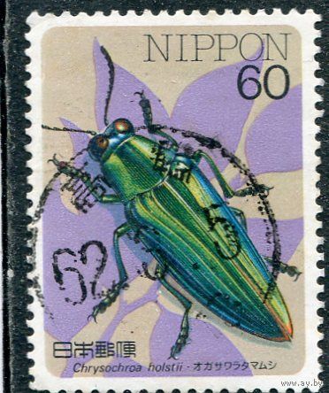Япония. Фауна. Насекомые. Вып.03