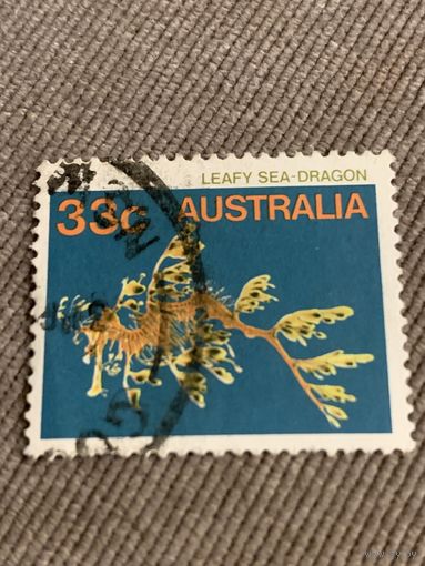Австралия. Leafy Sea-Dragon. Марка из серии