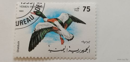 Йемен 1990. Птицы
