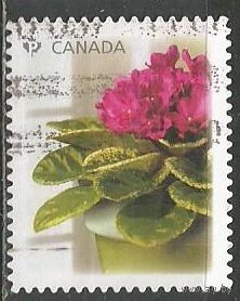 Канада. Цветы. 2010г. Mi#2594.