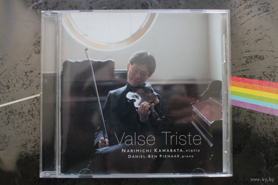 Narimichi Kawabata, Daniel-Ben Pienaar - Valse Triste (2003, CD)
