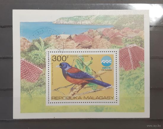 Мадагаскар. 1975 год. Фауна. Птицы (блок)