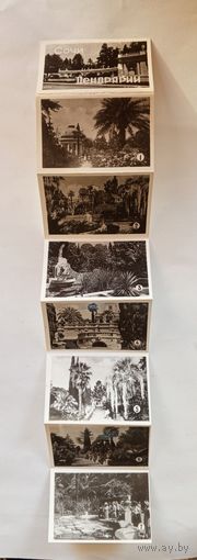 Фотосувенир-гармошка из 8 видов. Сочи. Дендрарий.Август 1968 г.