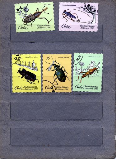 КУБА, 1980, ЖУКИ, 5м, гашен