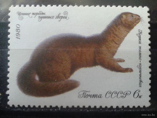 1980 Норка*