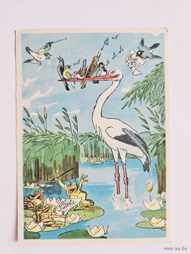 Баженов 1958 аист чистая