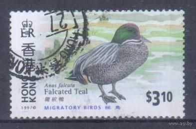 [2440] Гонконг 1997. Фауна.Птицы.Утка. Гашеная марка.