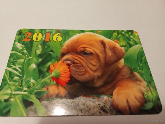 Календарик 2016г.