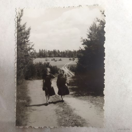 Фотография. Широка страна моя Родная. Ретро фото.  Девушки на лесной дороге. 1950-е.