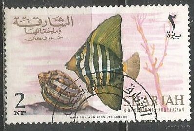 Шарджа. Рыбы. Зебрасома парусная. 1966г. Mi#228.