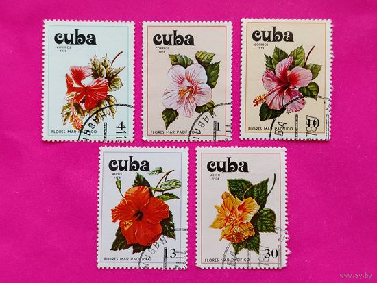 Куба. Кактусы. ( 5 марок ) 1978 года. 2-19.
