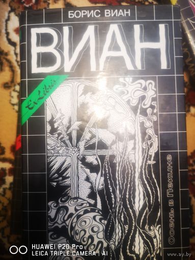 Пена дней. Осень в Пекине.