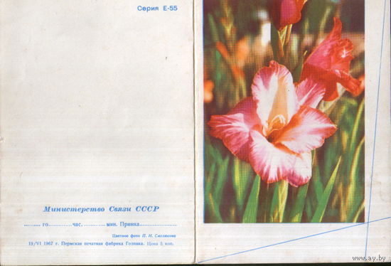 Бланк телеграммы 1967г. "Гладиолус" фото П. Смоляков