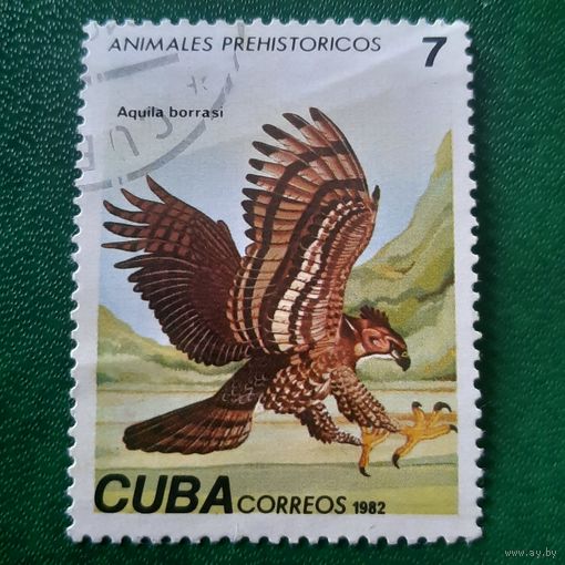 Куба 1982. Доисторические животные. Aquilla Borrasi. Марка из серии