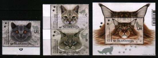 2020 Словения фауна животные млекопитающие породы кошек Блок+3х-марки**
