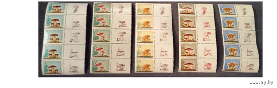 СССР. 1964 г. Грибы. Лак. Вертикальная полоска * + **