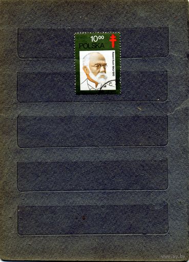 Польша, 1982,  Р. КОХ   сер 1м гашен