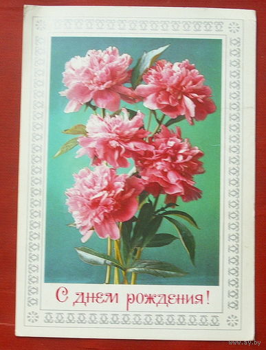 С днём рождения! Чистая. 1976 года. Савин. 114.