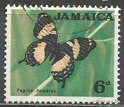 Ямайка. Бабочка Парусник. 1964г. Mi#225.