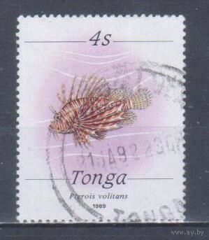 [2130] Тонга 1989. Фауна.Рыбы.Крылатка-зебра. Гашеная марка.