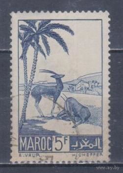[1607] Французские колонии. Марокко 1939. Фауна.Антилопы.5 фр. Гашеная марка.