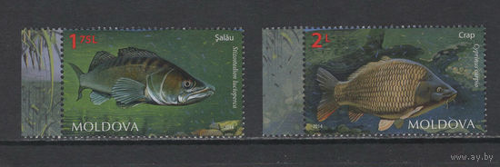 Фауна Рыбы Молдова 2014**