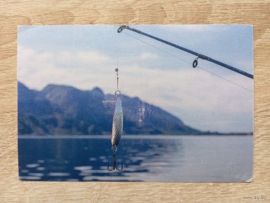 О-12. ПОДПИСАННАЯ ОТКРЫТКА. ГЕРМАНИЯ. БЛЕСНА.