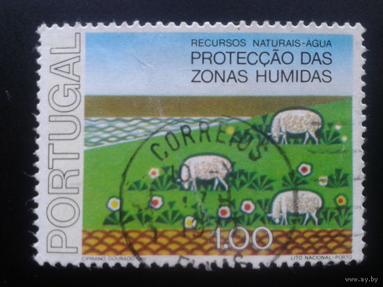 Португалия, 1976. Выпас овец