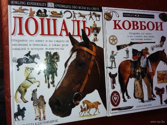 "Лошадь" серия "Очевидец"