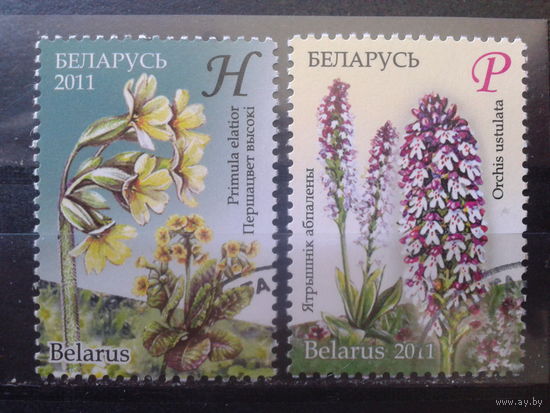 2011 Цветы Полная серия