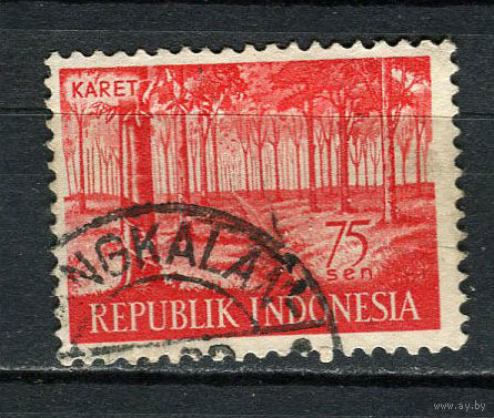 Индонезия - 1960 - Сельское хозяйство. Каучуковое дерево 75S - [Mi.275] - 1 марка. Гашеная.  (Лот 81FC)-T25P11