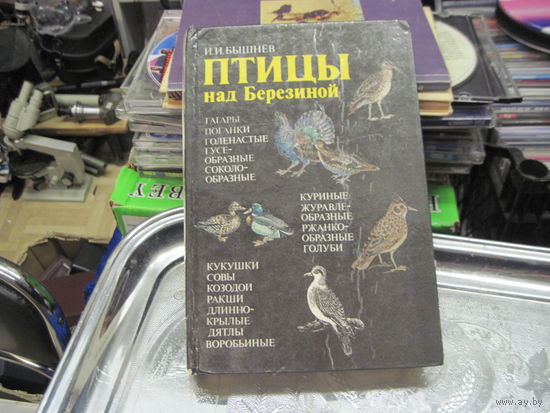 Бышнев И.И. Птицы над Березиной. 1992 г.