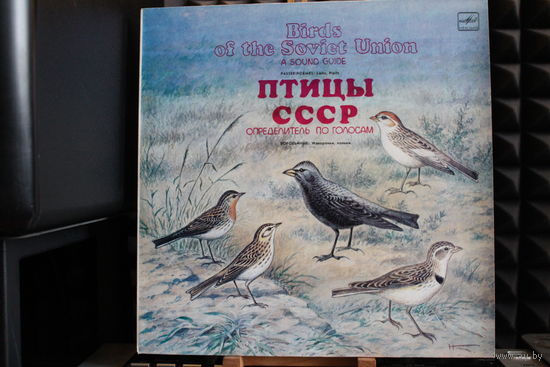Птицы СССР - Воробьиные: Жаворонки, Коньки (1986, Vinyl)