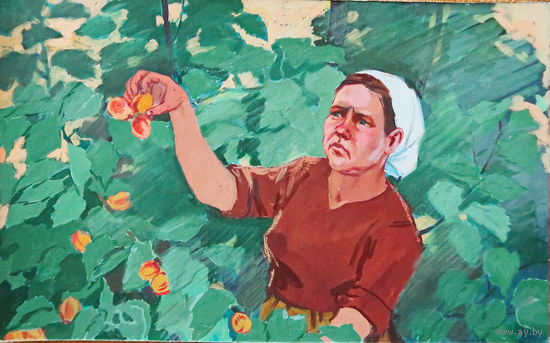Рисунок к деафильму "Нонка"художник Афанасьева Н. А.1964 год Наследие СССР
